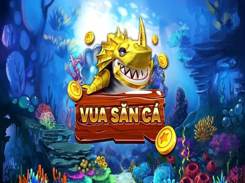 hinh1-vua-san-ca-1 Vua săn cá