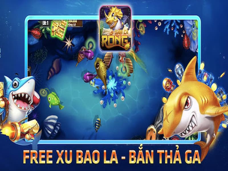 hinh2-san-ca-rong Săn cá rồng