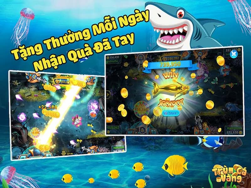hinh2-trum-ca-vang Trùm cá vàng