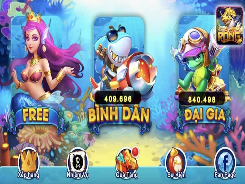 hinh3-san-ca-rong Săn cá rồng